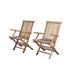 Poltrona da giardino pieghevole in teak massello oliato (set di 2)